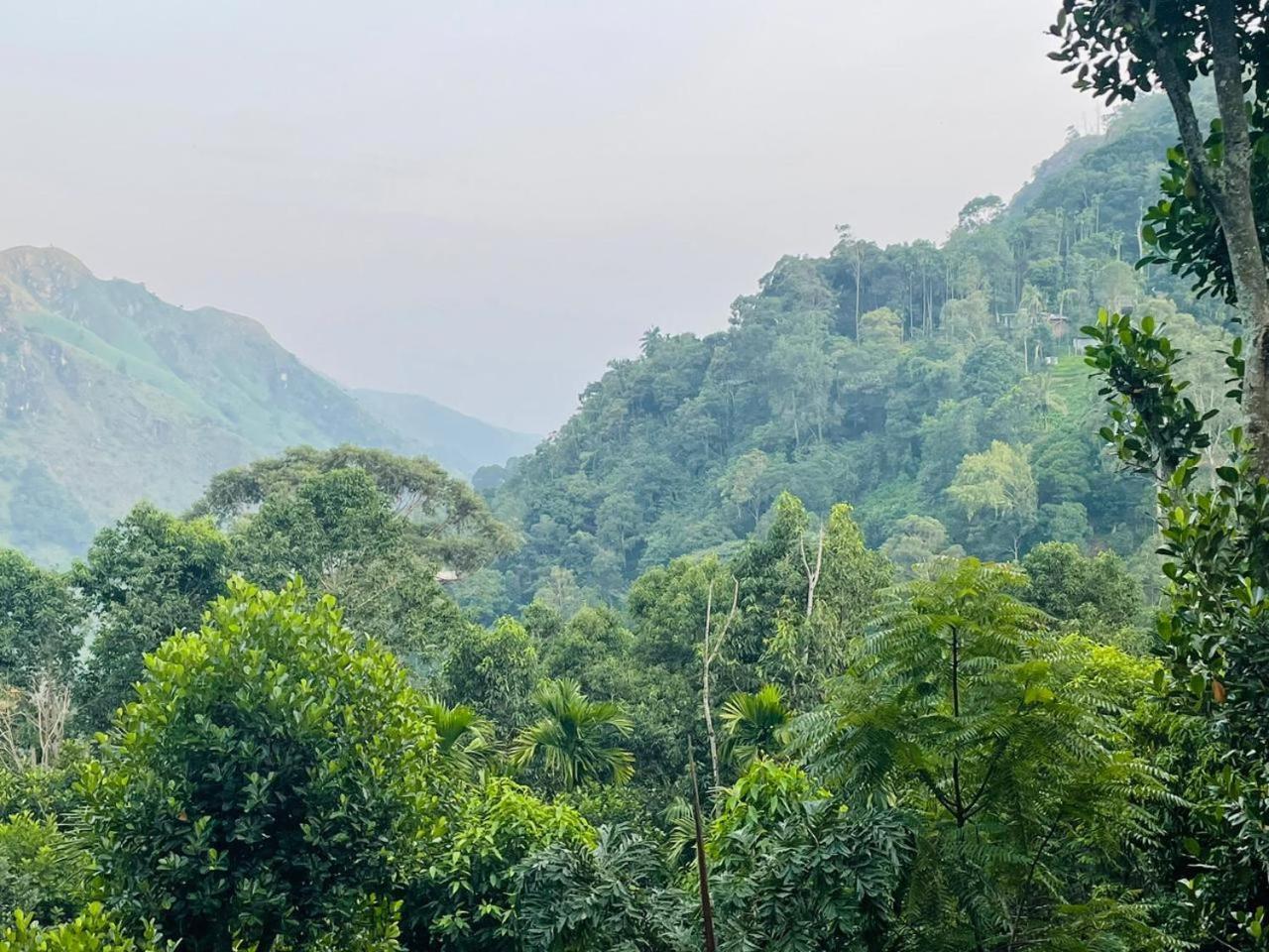 Mid Scenery Home Stay Ella Buitenkant foto