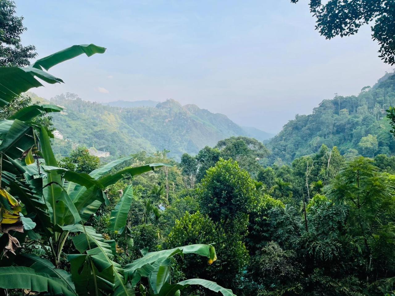 Mid Scenery Home Stay Ella Buitenkant foto