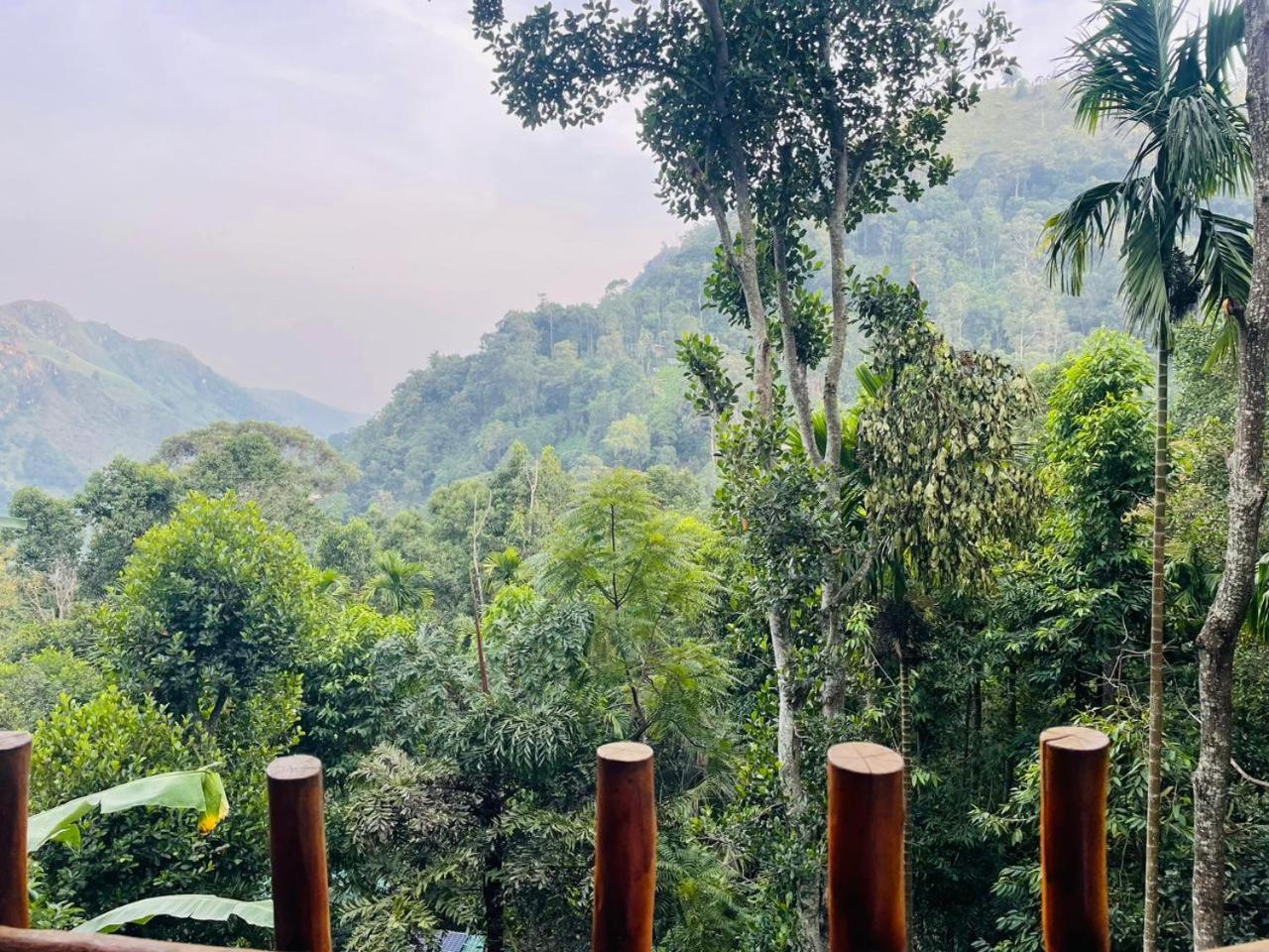 Mid Scenery Home Stay Ella Buitenkant foto