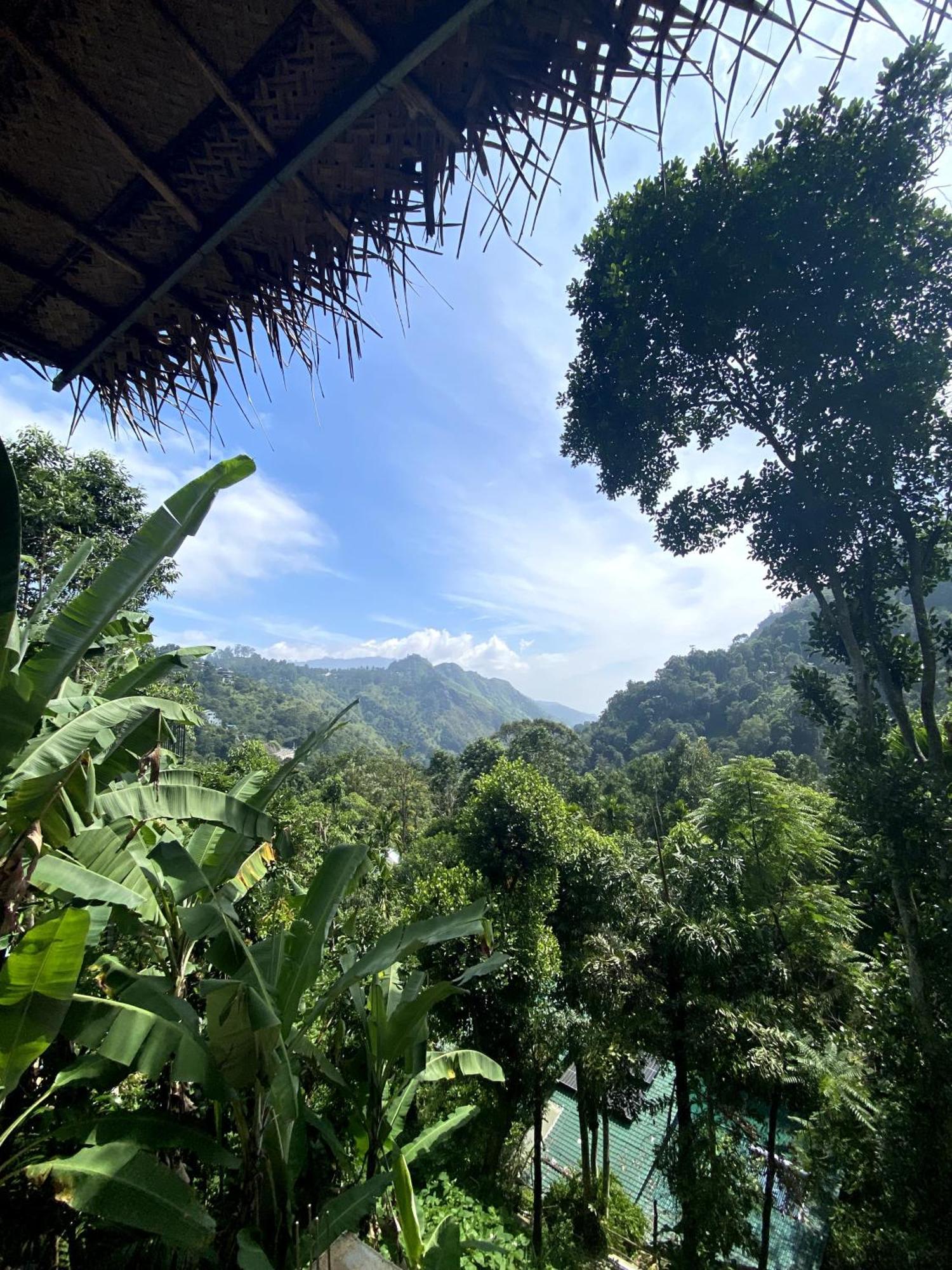 Mid Scenery Home Stay Ella Buitenkant foto